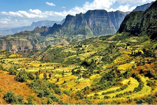Day 5: Simien Mountains
