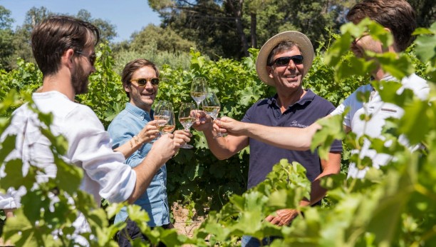 Vineyard Wine Safari